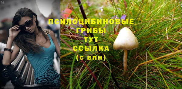Альфа ПВП Бронницы